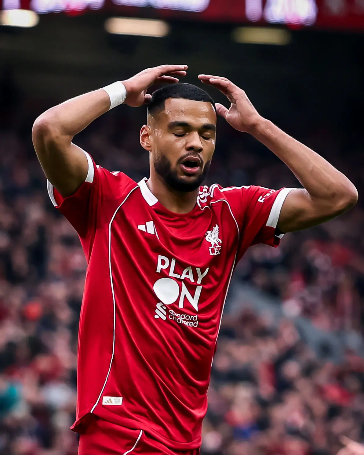 爱游戏官网-德布劳内红牌